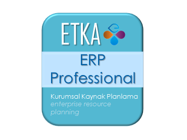 ERP PROFESSIONAL -ERP Professional