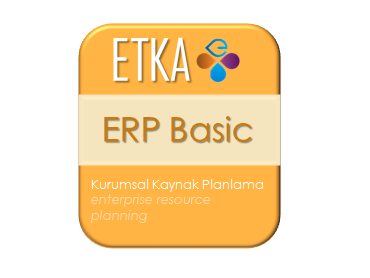 ERP BASIC -ERP Basic