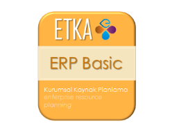 ERP BASIC -ERP Basic