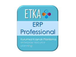 ERP PROFESSIONAL