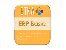 ERP BASIC