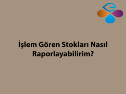 İşlem Gören Stokları Nasıl Raporlayabilirim?